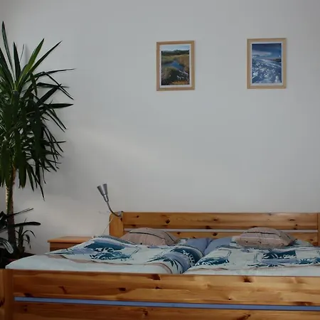 Doma Janov nad Nisou